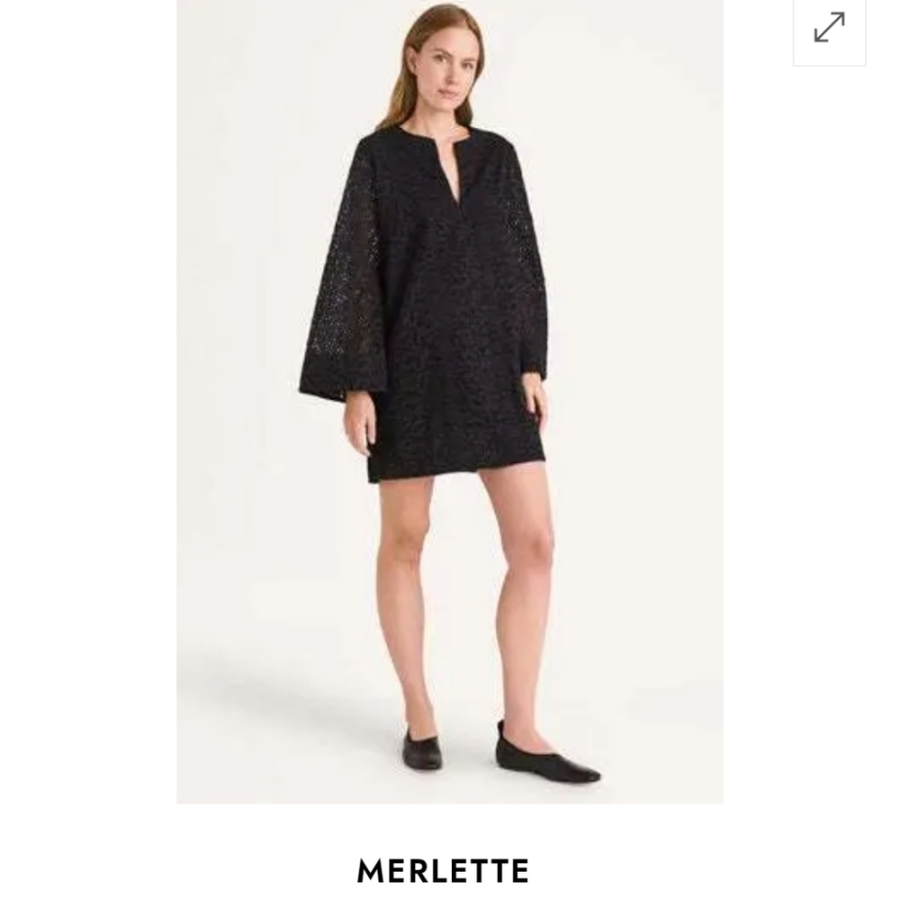 Merlette Charme Black Lace Dress